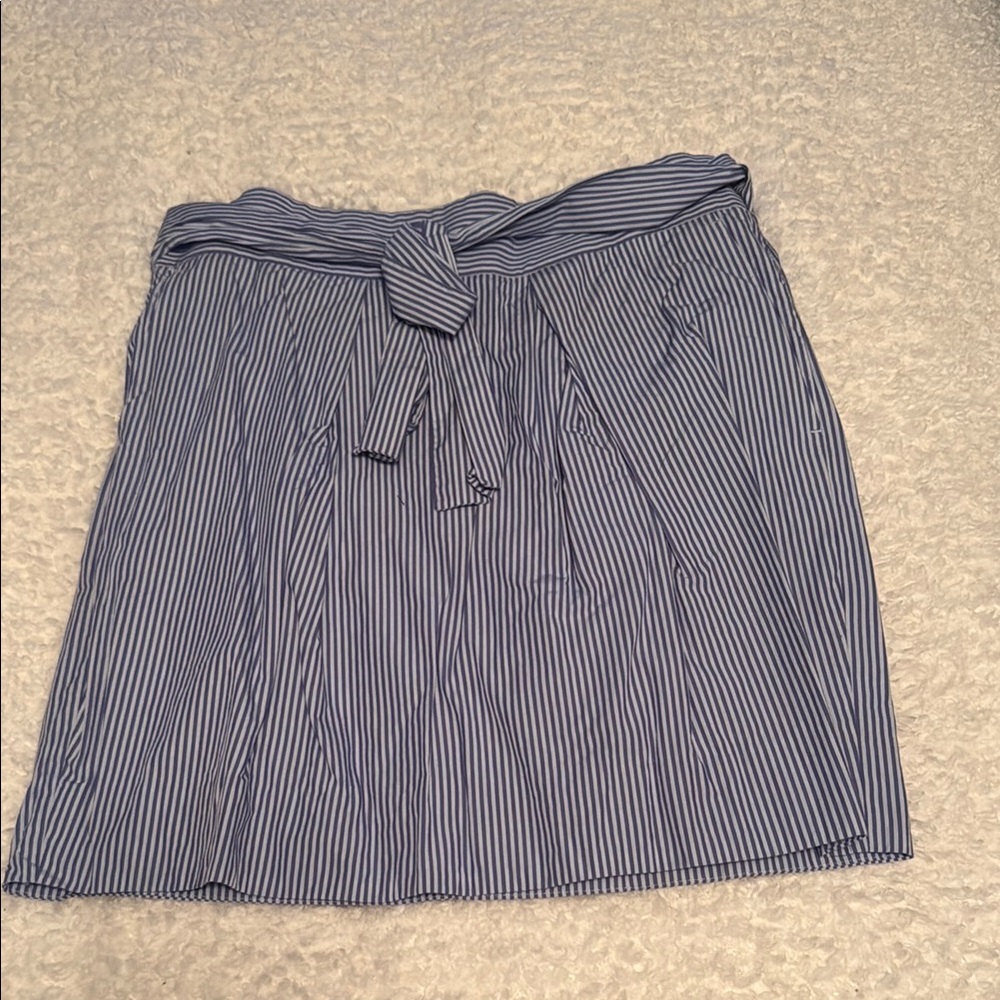 J. Crew Blue and White Stripe Skirt - Size 6